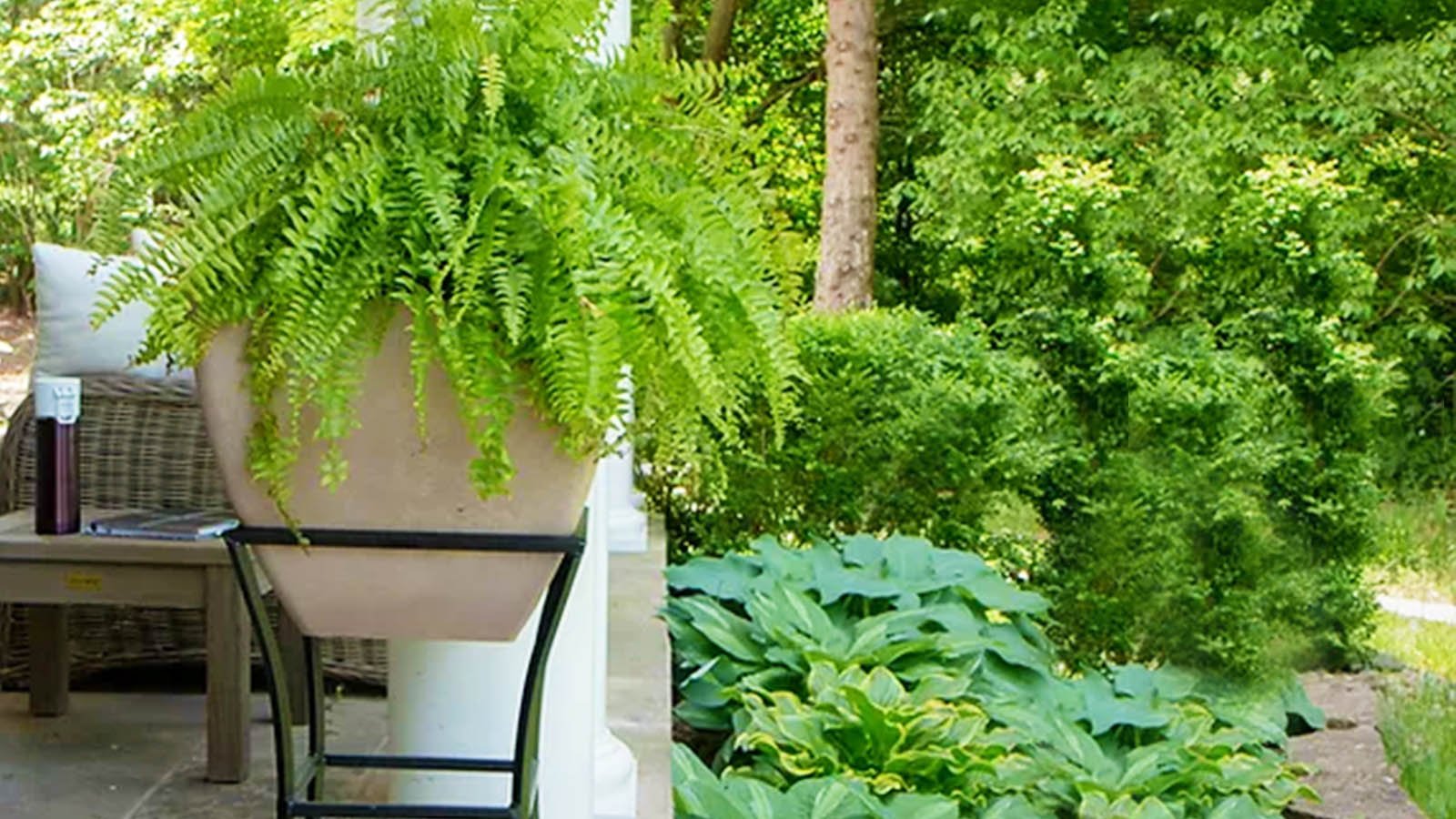 RTS Home Accents planter displayed on backyard patio