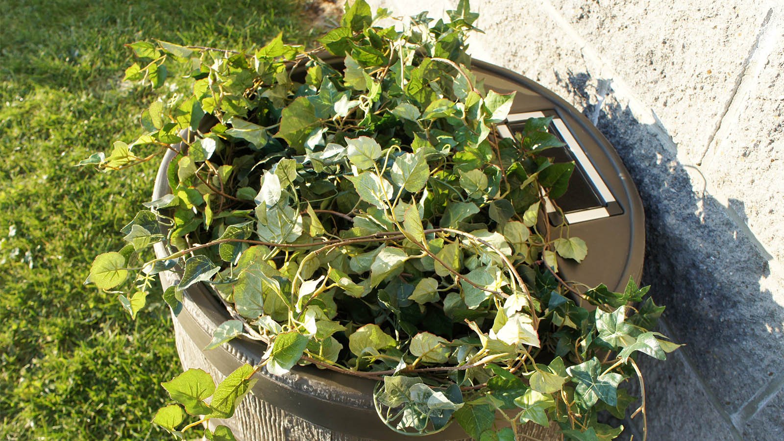 rain barrel with planter viewed from above with green foliage