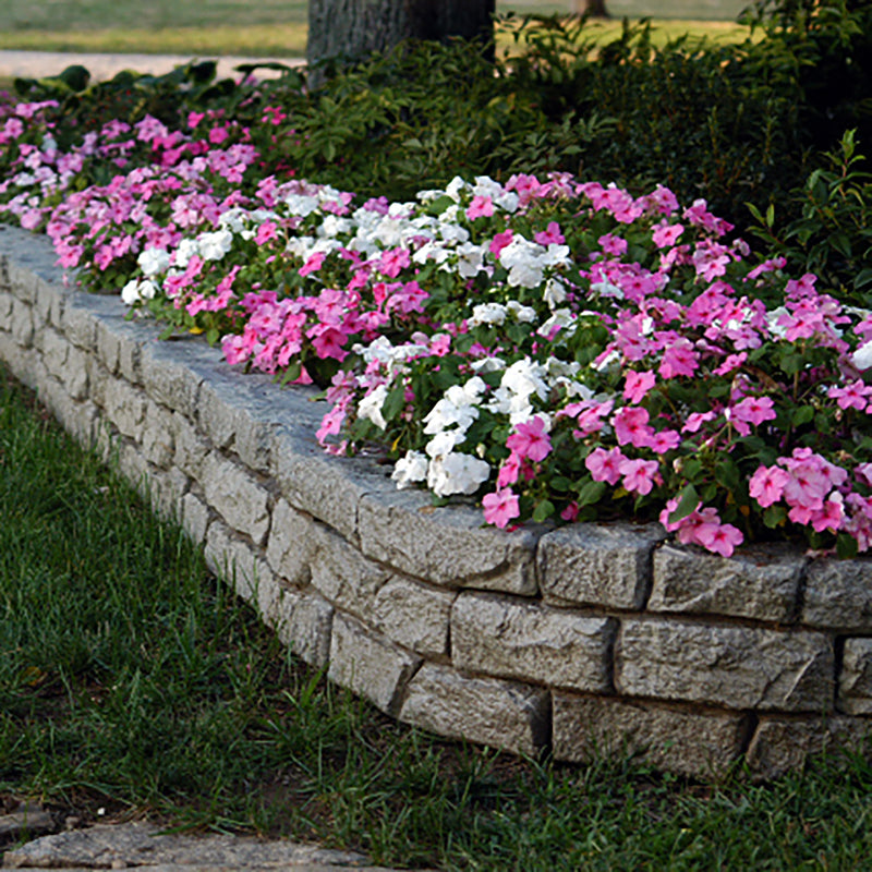 Rock lock garden bed with flowers inside