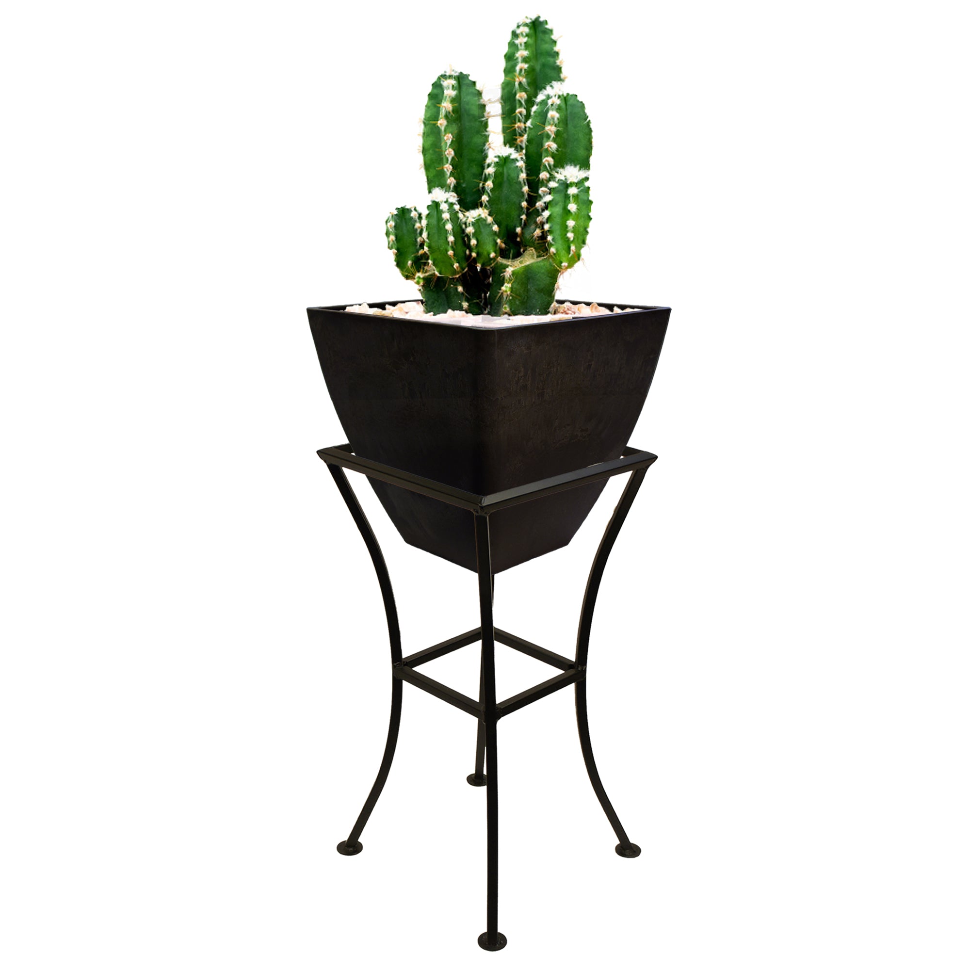 12x12 graphite square planter with a stand and cactus inside on a white background