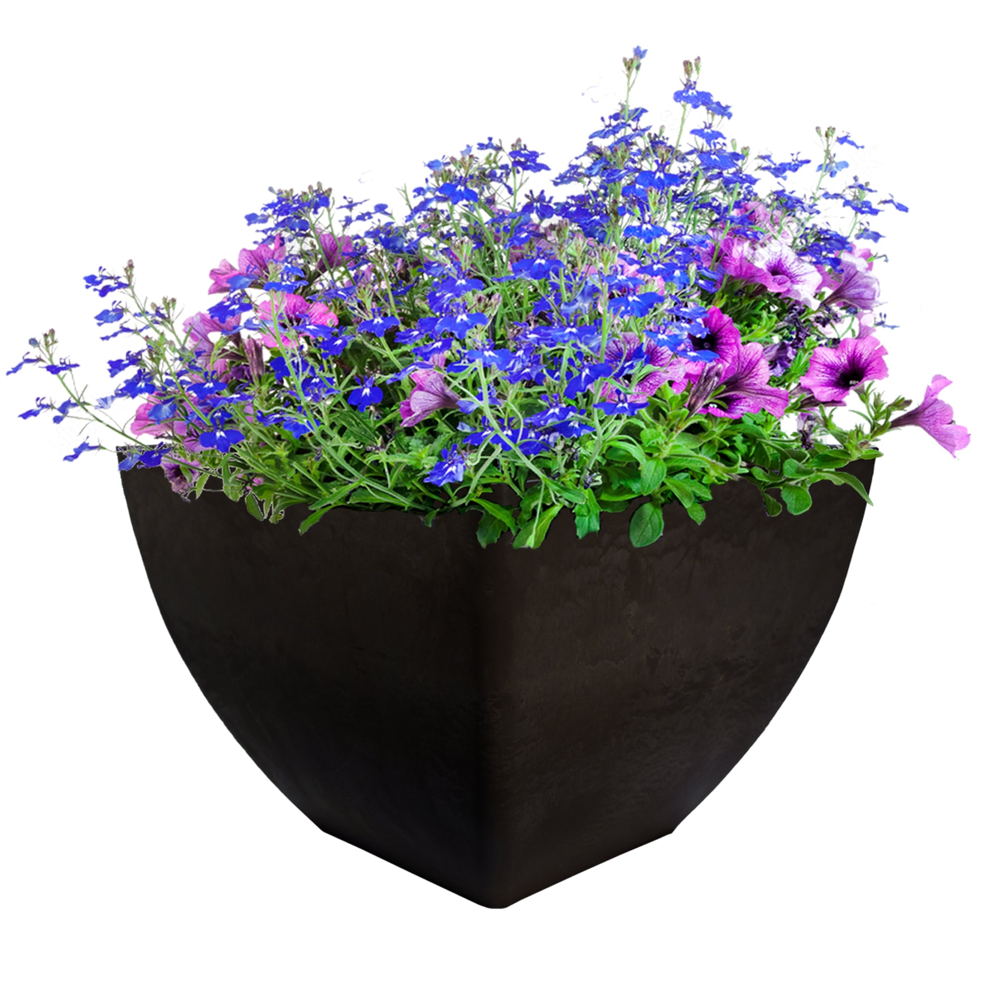 20 inch square planter in graphite with flowers inside on a white background
