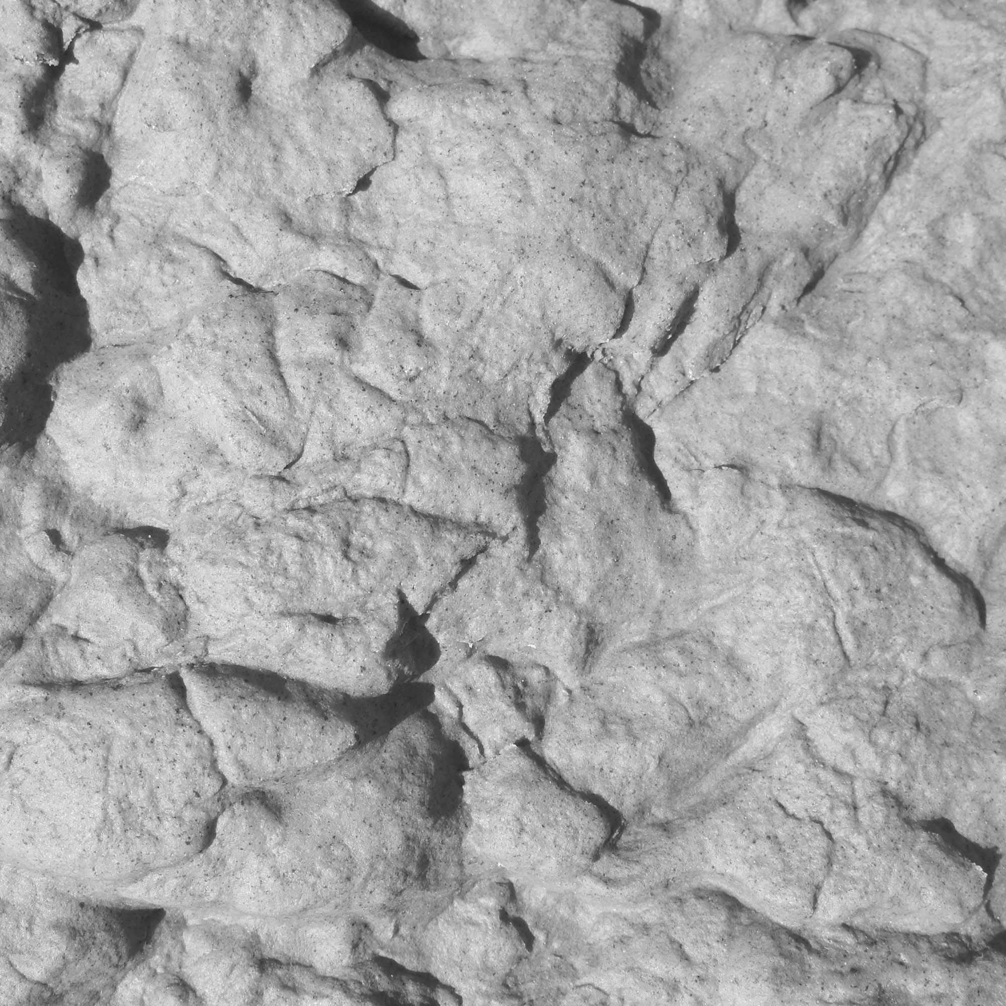 close up of grey landscape rock texture