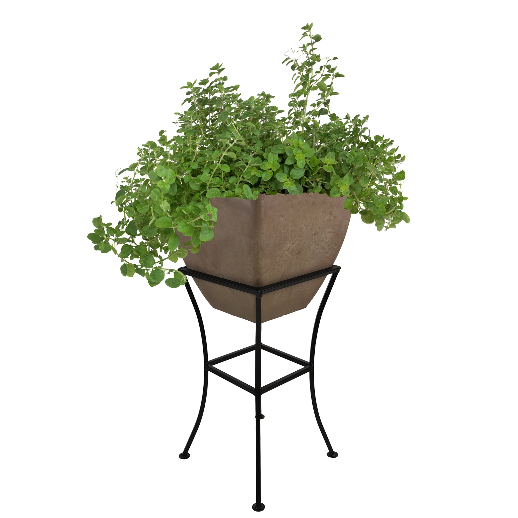 12 inch planter in oak with black stand and herbs inside on white background
